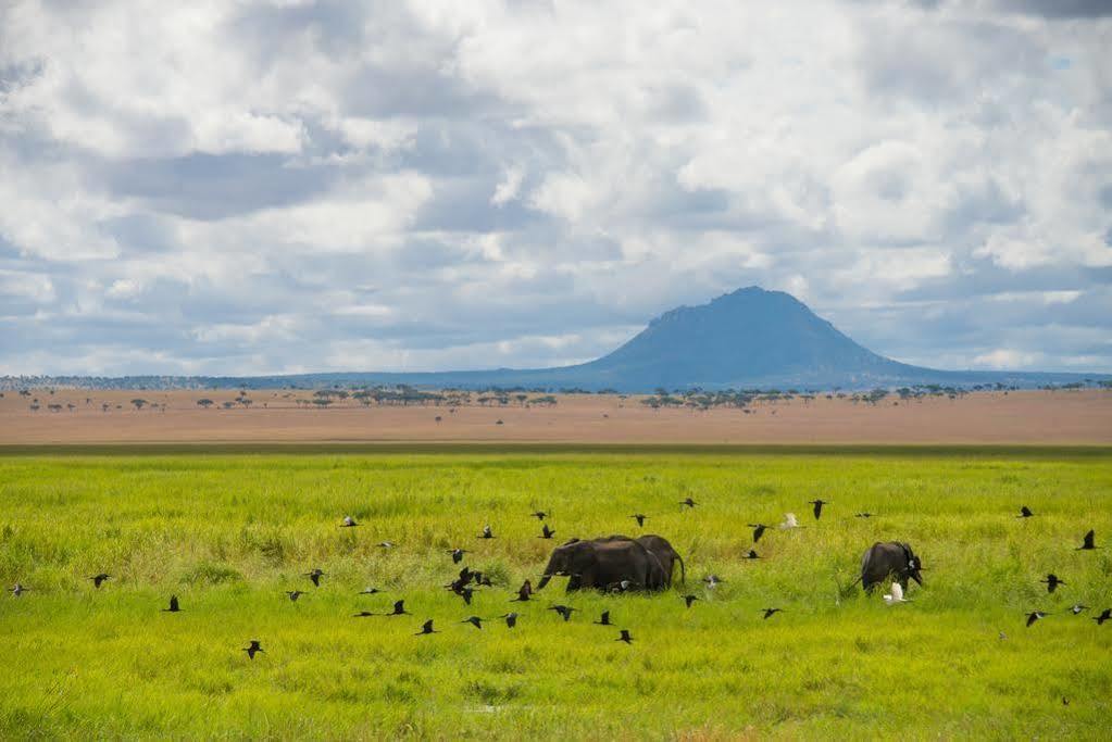 Отель Sanctuary Swala Babati Экстерьер фото