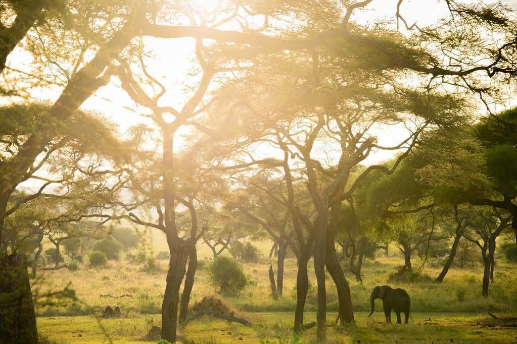Отель Sanctuary Swala Babati Экстерьер фото