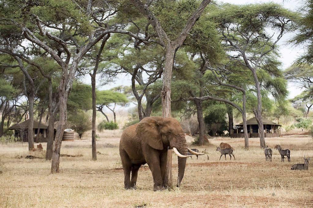 Отель Sanctuary Swala Babati Экстерьер фото